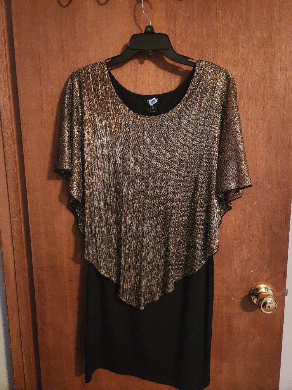 Black Dress with Metallic Cape